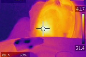 thermography-1-300x247