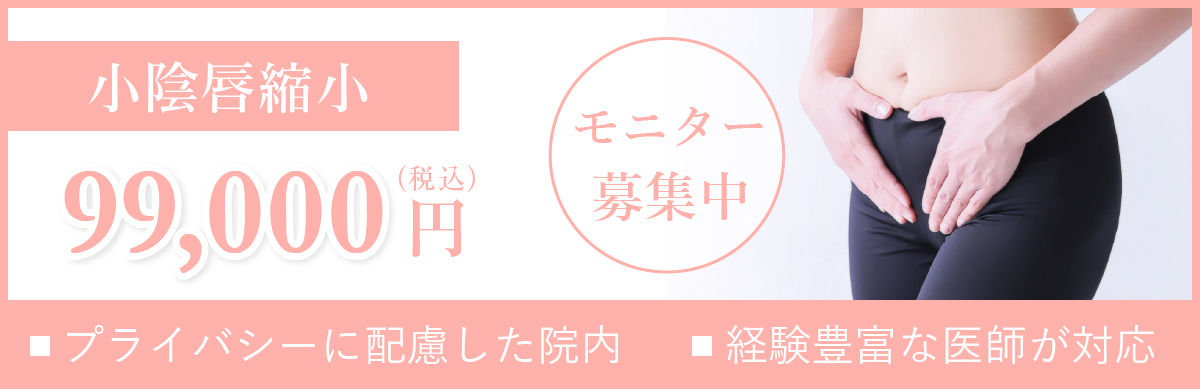 小陰唇モニター