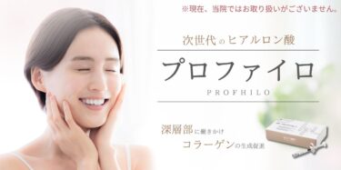 プロファイロFV