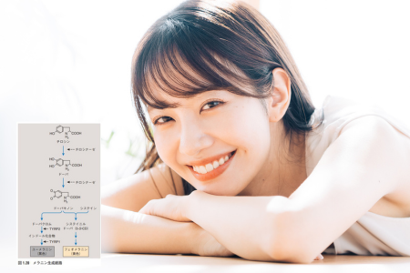 強力な美白効果